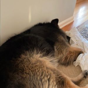 Meet your Posher, Robert